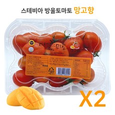 토마토-추천-상품