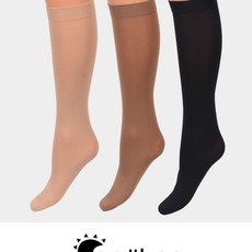 썬패션판타롱스타킹