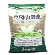 동양금분재