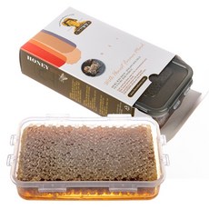 밀랍꿀-추천-상품