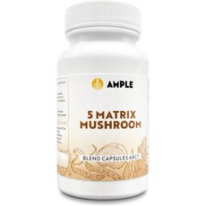 5 Mushrooms Matrix Complex - 60 Capsules - Reishi Cordyceps Lion's Mane Chaga Turkey Tail - Boost Yo, 60정