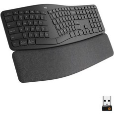 로지텍인체공학키보드