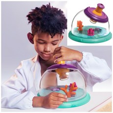 곤충채집현미경