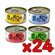 할시온런치2