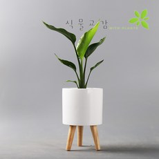 도자기인테리어