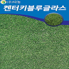 켄터키블루그라스