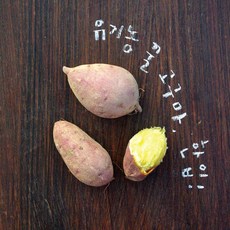 논밭상점