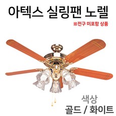 선풍기조명