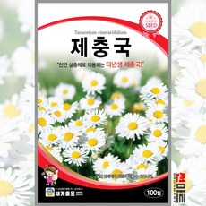달마시안제충국