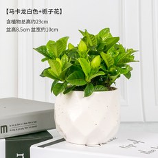 9a0574ef275aa28660e94a47cb6970c990dd1431f8ddf7bdce1accb90311.jpg
