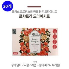 사라몰 애경 르샤트라 드라이시트 시트형 섬유유연제 정전기방지 내추럴 허브에센셜 세제 피오니부케향, 20개