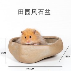 햄스터공화국