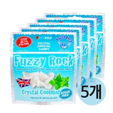 [Fuzzy Rock] 퍼지락 리얼 자일리톨 캔디 라인업, 40g, 쿨민트 5SET