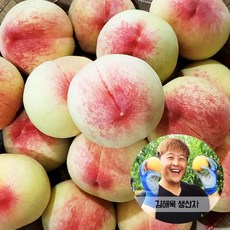 반말랑이복숭아