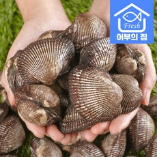 피꼬막회