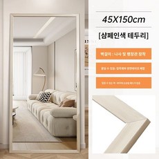 대형 거울 벽걸이 아치형 전신 이동식 스탠드 강화유리 와이드 타원형 비정형, 샴페인칼라프레임45x150cm, 1개