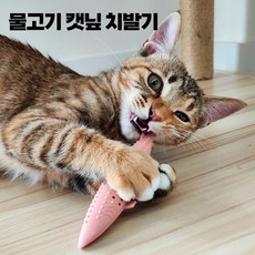 프리에이터 고양이 캣닢 치발기 장난감 터그놀이, 1개, 핑크 - 고양이치발기