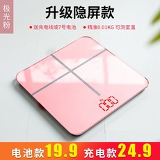 비스카전자저울