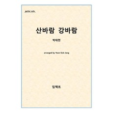 [기타 악보 피스(파일)] Impact guitar piece No. 8: 산바람 강바람-박태현