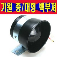백부져