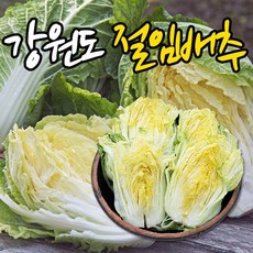 추천6 강원도영월절임배추