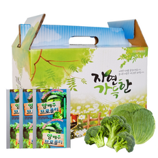 양배추브로콜리즙 1박스55포 [ 2박스구매시+20포증정(총130포) ]