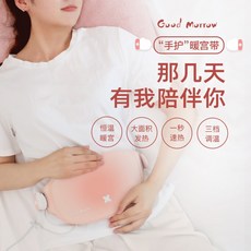 생리통완화 온열복대 배 보온 휴대용 찜질기, 기본