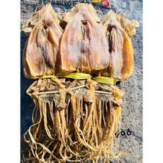 포항 구룡포 마른 건조 오징어 1.5키로(20미) 당일배송, 1.5kg(20미), 1개