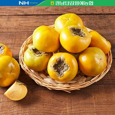 진영단감 진영단감 특등급 5kg, 단일옵션