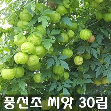 괜찮아사랑이야촛불