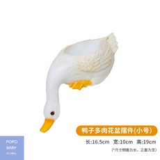 다육이캔들키트