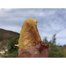 해남 산지직송 베니하루카 꿀 밤 고구마 특상 중상 2kg 3kg 5kg 10kg, 1박스, 밤고구마 특상 2KG