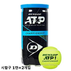 2020던롭 테니스공 ATP 챔피언쉽 시합구 (1캔2개입)