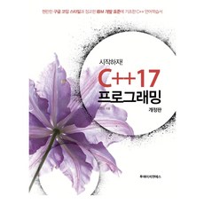 시작하자! C++17 프로그래밍:현란한 구글코딩 스타일과 정교한 IBM 개발표준에 기초한 C++ 언어학습서, 투에이치앤에스