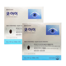 굿아이루테인지아잔틴