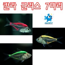 75d1d626cdbb917175f40580bca56db7f54ff181a8437e8439116ba0a641.jpg