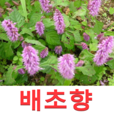 7118ca2baead6c81b1a305926206082f44433a99429b2267a2a02ba2e504.png