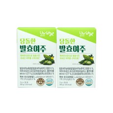 당돌한 발효여주 2g X 30포 2개 고농축 유산균 발효, 60g