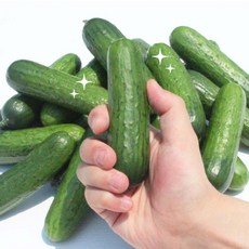 그린몬스터즈