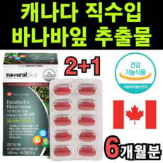 셀크비
