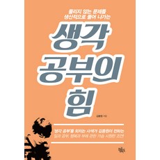 생각 공부의 힘:풀리지 않는 문제를 생산적으로 풀어 나가는, 황금지식, 김종원 저