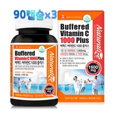 속편한비타민c1000