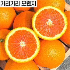 추천103월제철과일