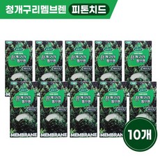 청개구리 멤브렌 10개1SET 차량용방향제 산도깨비멤브렌 자동차방향제, 10개, 피톤치드향