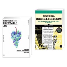 도메인 주도 설계로 시작하는 마이크로서비스 개발 + 한 권으로 읽는 컴퓨터 구조와 프로그래밍 (전2권)