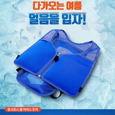 스위스몽크로스아이스