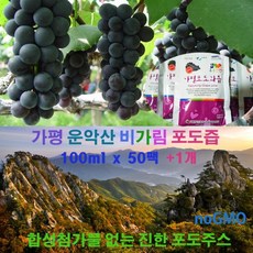 가평운악산 포도즙50포+1팩 켐벨100%착즙효능 어버이생신 임산부음료 환절기원액 아이간식 [원산지:국산(경기도 가평군)], 1.새콤달콤 달콤한맛 [50+1개] 알미늄팩, 50개, 100ml