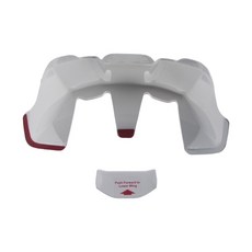 아라이스포일러