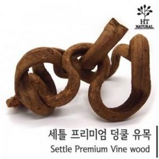 체리새우
