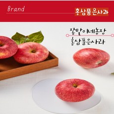 가인농장꿀벌